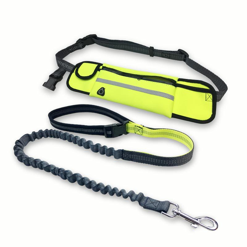 Jogging-Hundeleine mit Bauchtasche – freie Hände beim Laufen